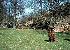 1974 UK Yorkshire Dales 025